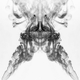 Image for article titled Shooting Challenge: Rorschach Test